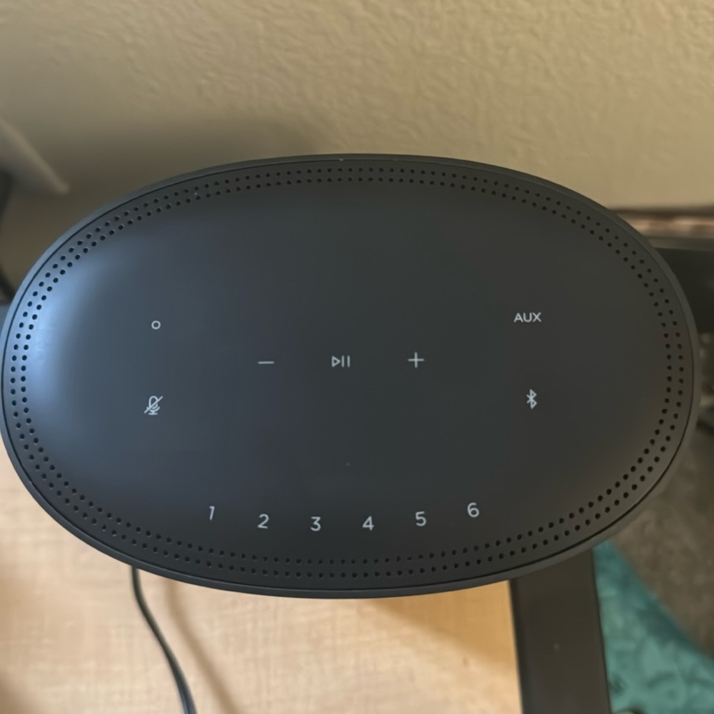 Bose home speaker 500